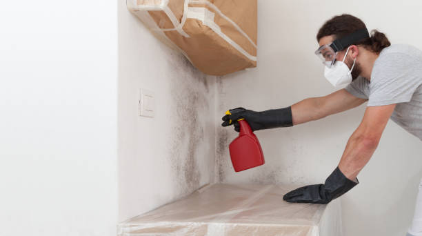 Professional Commercial Mold Remediation technician working in Rapid City, MI