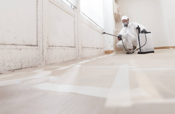 24/7 Emergency Commercial Mold Remediation experts in Rapid City, MI