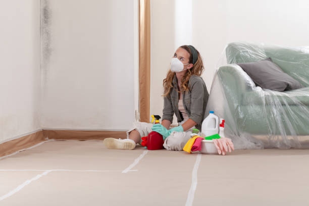Reliable Commercial Mold Remediation contractor in Rapid City, MI by Car Mold Remediation